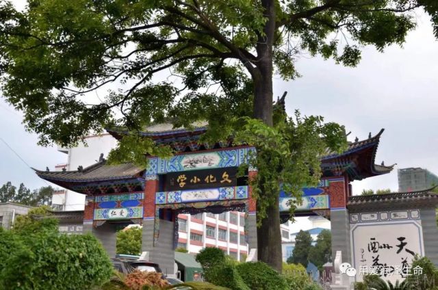 陆良县文化小学校史馆史料征集_爨网 ,传播爨(cuàn)文化!www.