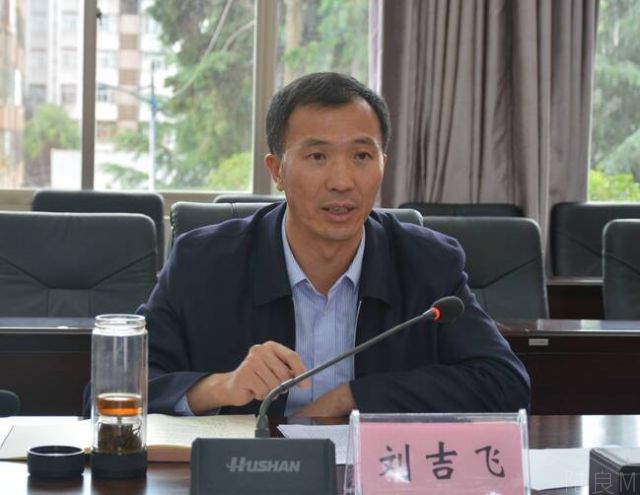 刘吉飞调研政府工作